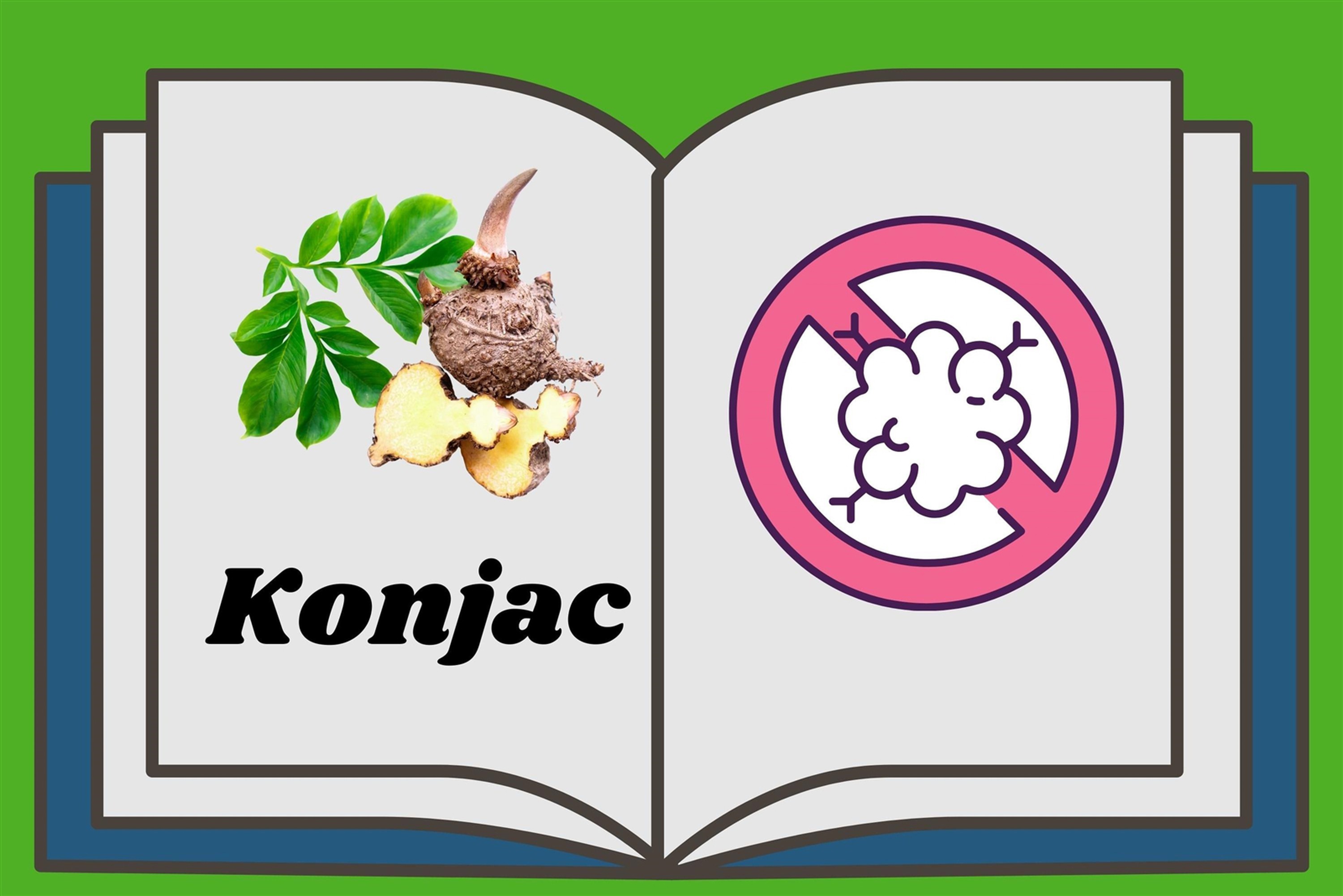 health benefits of konnyaku pasta4 health benefits of konnyaku pasta4